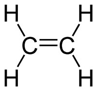 Ethylene2D