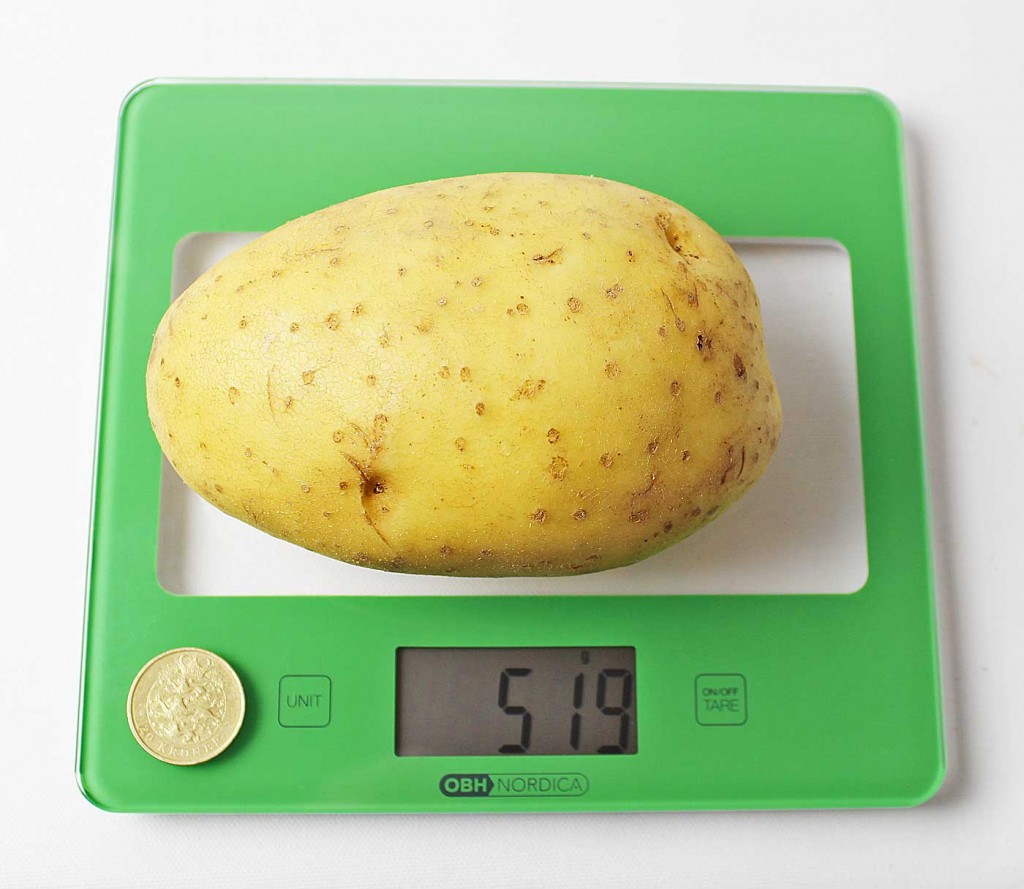 Potatoweight