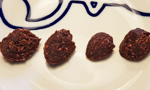 Brownie Mundfulde – dehydrerede